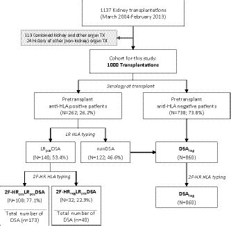 Clinical Importance Of Extended Second Field Highresolution Hla