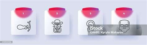 Organs Set Icon Female Reproductive Organ Pelvis Skull Skeleton Bone Ear Numbering Self Care