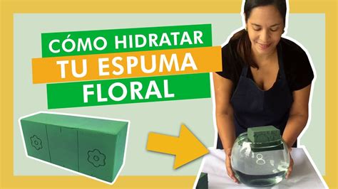 HIDRATA Correctamente Tu OASIS O Espuma Floral Floreria Para