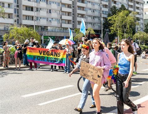 Lgbtq Pride Parade Lgbt Rainbow Flags Colorful Carnival Crowd Gay Tolerance Festival Freedom