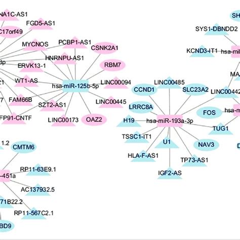 Mirna Tf Mrna Regulatory Network Diamonds Rectangles And Ovals