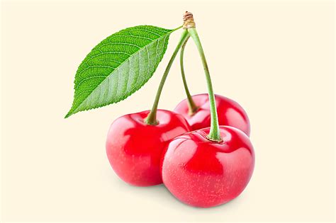 Вишня – купить по приятной цене с доставкой на дом в интернет-магазине ...