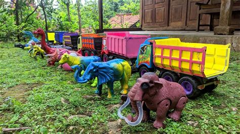 Wow Keren Truk Oleng Angkut Sapi Kerbau Dinosaurus Gajah Bebek