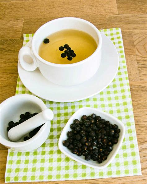 How to Make Juniper Berry Tea - Steeped Street