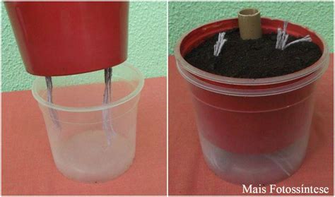 Como Plantar Tomate Em Vasos Dicas Que Usei Em Casa Portal Do