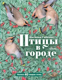 «Птицы в городе» Габеева Наталья Михайловна - описание книги | Оглянись ...