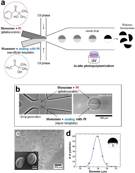 Microfluidic Synthesis Of Hemispheres Using Janus Drop Comprising Two