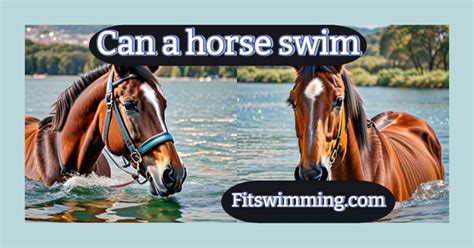 Can A Horse Swim Discovering The World Of Horses Fit Swimming