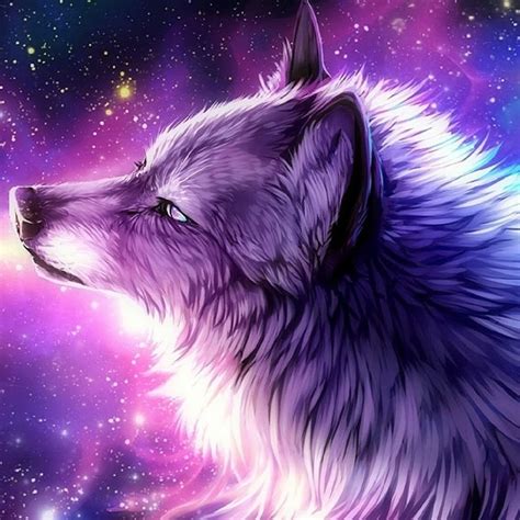 Galaxy Wolf Youtube