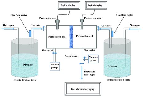 Scheme 1 Schematic Diagram Of Hydrogen Permeation Measurement