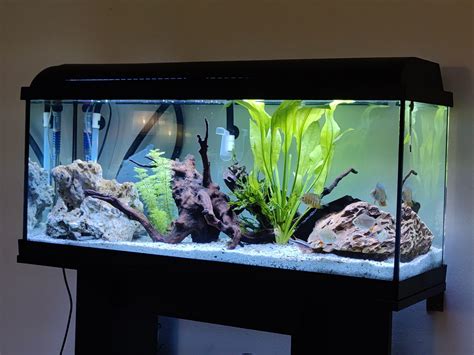 DIY Aquarium led light | Planet4