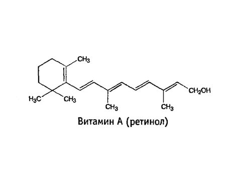 Лекарственные растения содержащие витамины - презентация онлайн
