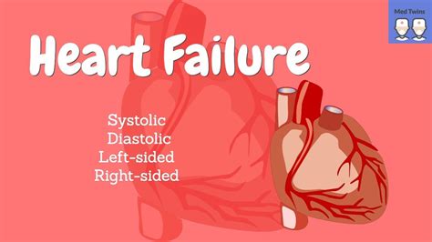 Heart Failure Pathophysiology Congestive Heart Failure Systolic Vs