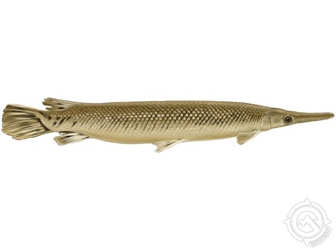 trinity river alligator gar  hour guided fishing trip