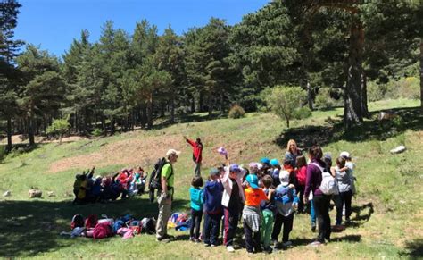 Actividades De Aventura Para Colegios En Madrid Actividad En Naturaleza