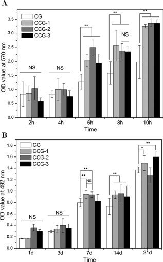 Characterization Of Admscs Seeded In The Cg And Ccg Scaffolds A Download Scientific Diagram