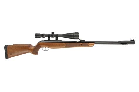 Carabine Gamo Cfx Royal Bois Canon Fixe Calibre Mm