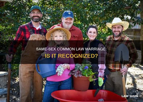 Same Sex Common Law Marriage Is It Recognized Lawshun