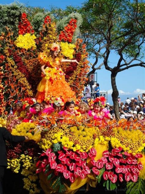 Festa Da Flor Na Ilha Da Madeira Portugal Funchal Beautiful Meaning