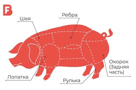 Как выбрать мясо: свинина. | BARON — фирменный интернет-магазин