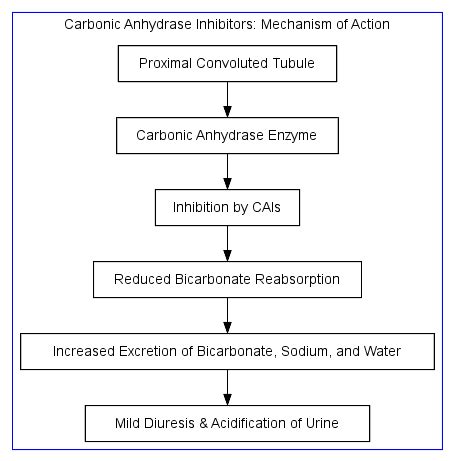 Pharmacology Of Carbonic Anhydrase Inhibitors Pharmacology Mentor