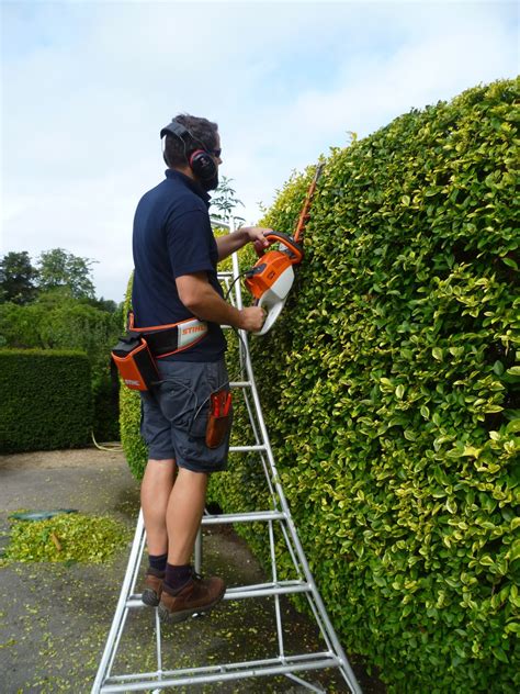 Worcester College Gardeners 2009-2018: Stihl Cordless Hedge Trimmer ...