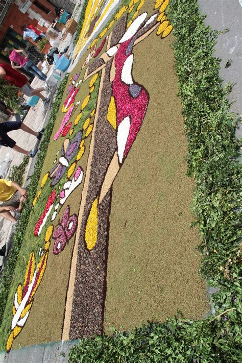 Infiorata Cusano Mutri Notizie