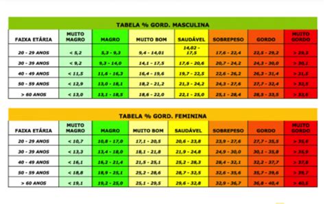 M Todos Para Calcular A Gordura Corporal Mundoboaforma Br