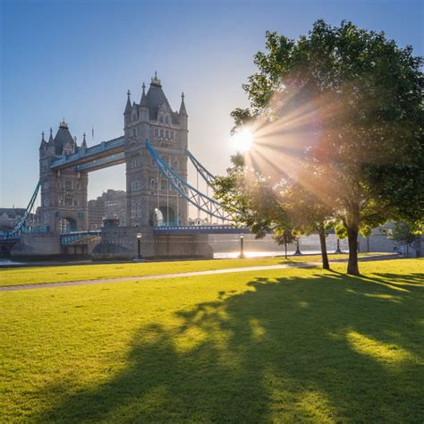 Sunrise At Tower Bridge With Tree And Green Grass London UK Travel