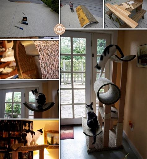 DIY Cat Tower | The Owner-Builder Network