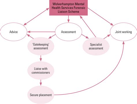 Community Forensic Psychiatry And The Forensic Mental Health Liaison Model Advances In