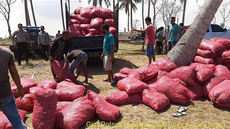 Ton Bawang Merah Ilegal Dari Malaysia Gagal Beredar Di Aceh