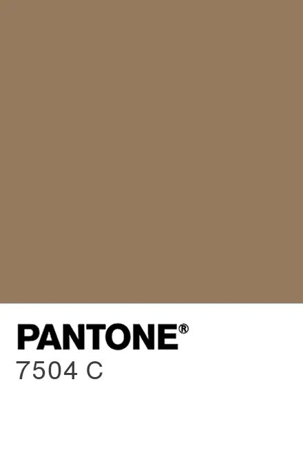 PANTONE 7504 C - Pantone色号库|Pantone潘通中国官网