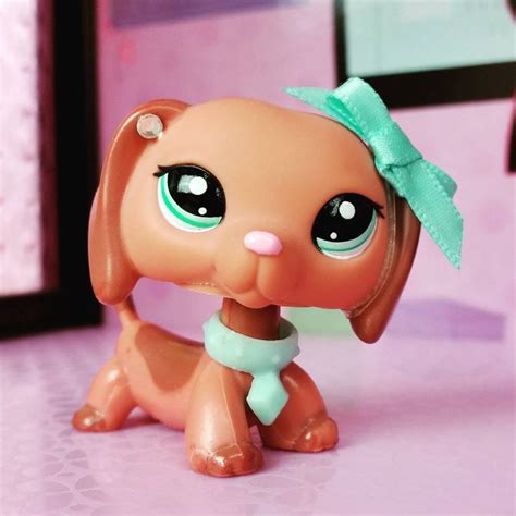 Best 25+ LPs ideas on Pinterest | Lps houses, Littlest pet shops and ...