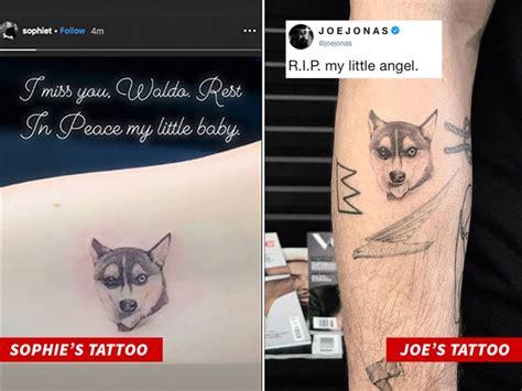 Joe Jonas and Sophie Turner Get Tattoos for Dog Hit by Car