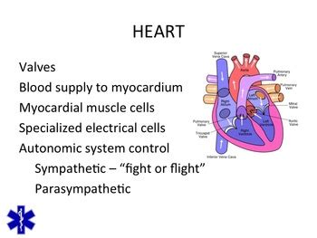 Emt Emr Cardiovascular Emergencies By Bruce Vincent Tpt