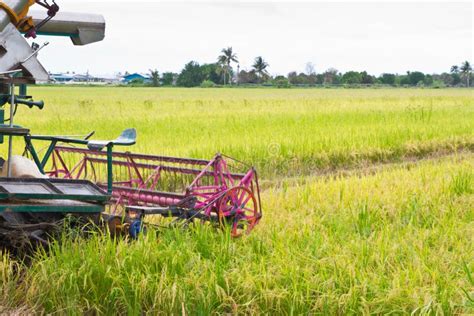 Combine Harvester on a Rice Field Stock Photo - Image of heavy ...