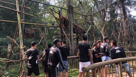 Vasco Base On Twitter Atletas Alojados Fazem Visita Ao BioParque Do