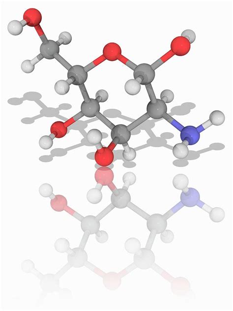 Glucosamine Organic Compound Molecule Photograph By Laguna Design