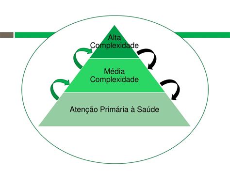 Redes De Atenção Em Saúde Ras