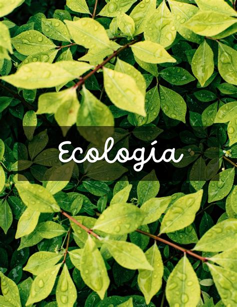 Portadas De Ecolog A Bonitas Y Descargables Conciencia Ecol Gica