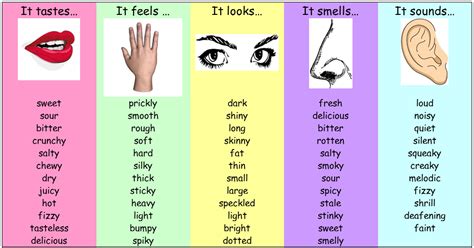 Senses Adjectives List