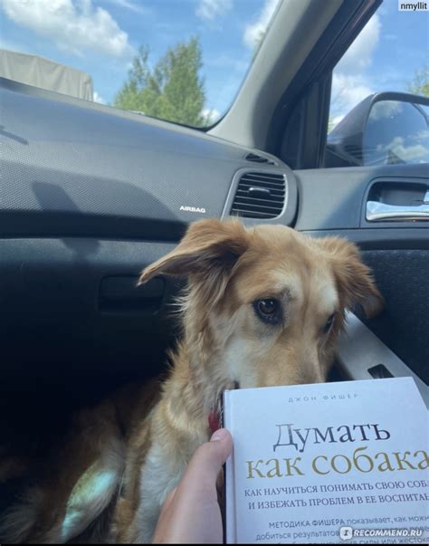 Думать как собака. Джон Фишер - «Как научиться понимать свою собаку ...