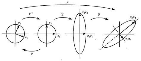 The Singular Value Decomposition A Fundamental Technique In