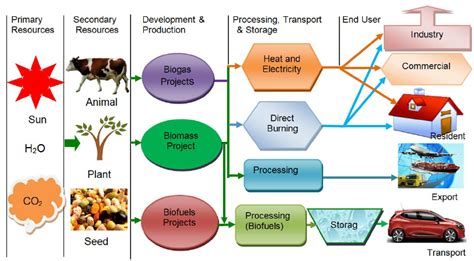 Biodiesel Supply Chain Form Primary Resources To End User Download