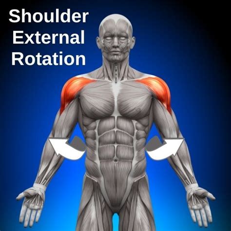 8 Infraspinatus Exercises To Build A Strong Rotator Cuff Facts And Physio