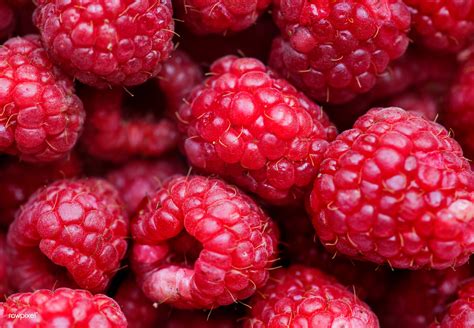 Macro Shot Of Red Raspberry Background Free For Commercial Flickr