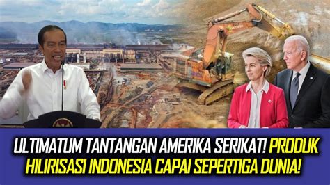 Tak Tinggal Diam Amerika Tolak Produk Hilirisasi Indonesia Begini