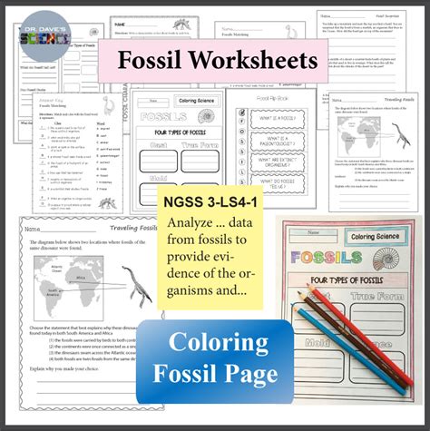 Fossils And Types Of Fossils Activities Ngss 3 Ls4 1 Made By Teachers