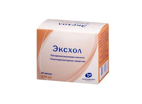 Эксхол: инструкция по применению, показания и противопоказания